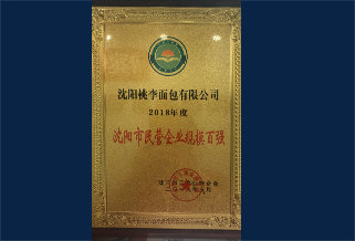 2018年度沈陽市民營企業規模百強